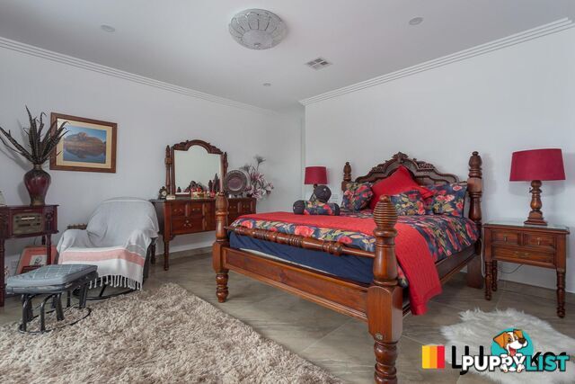 66 Palana Street SURFSIDE NSW 2536