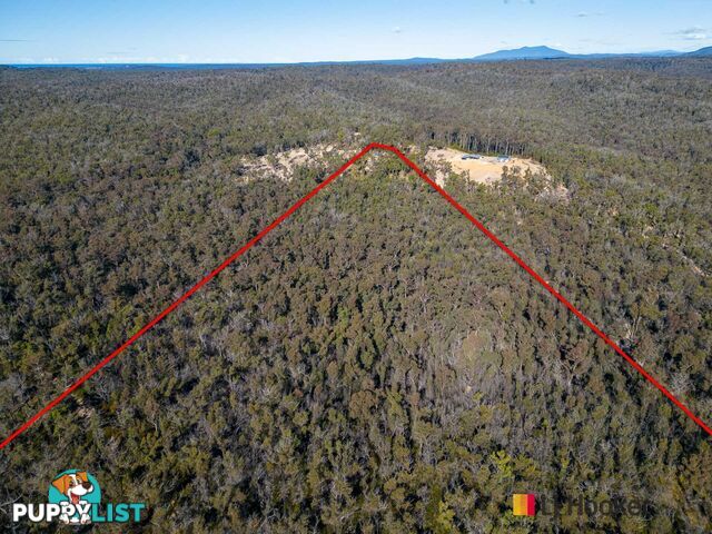 Lot 8/920 Dwyers Creek Road WAMBAN NSW 2537