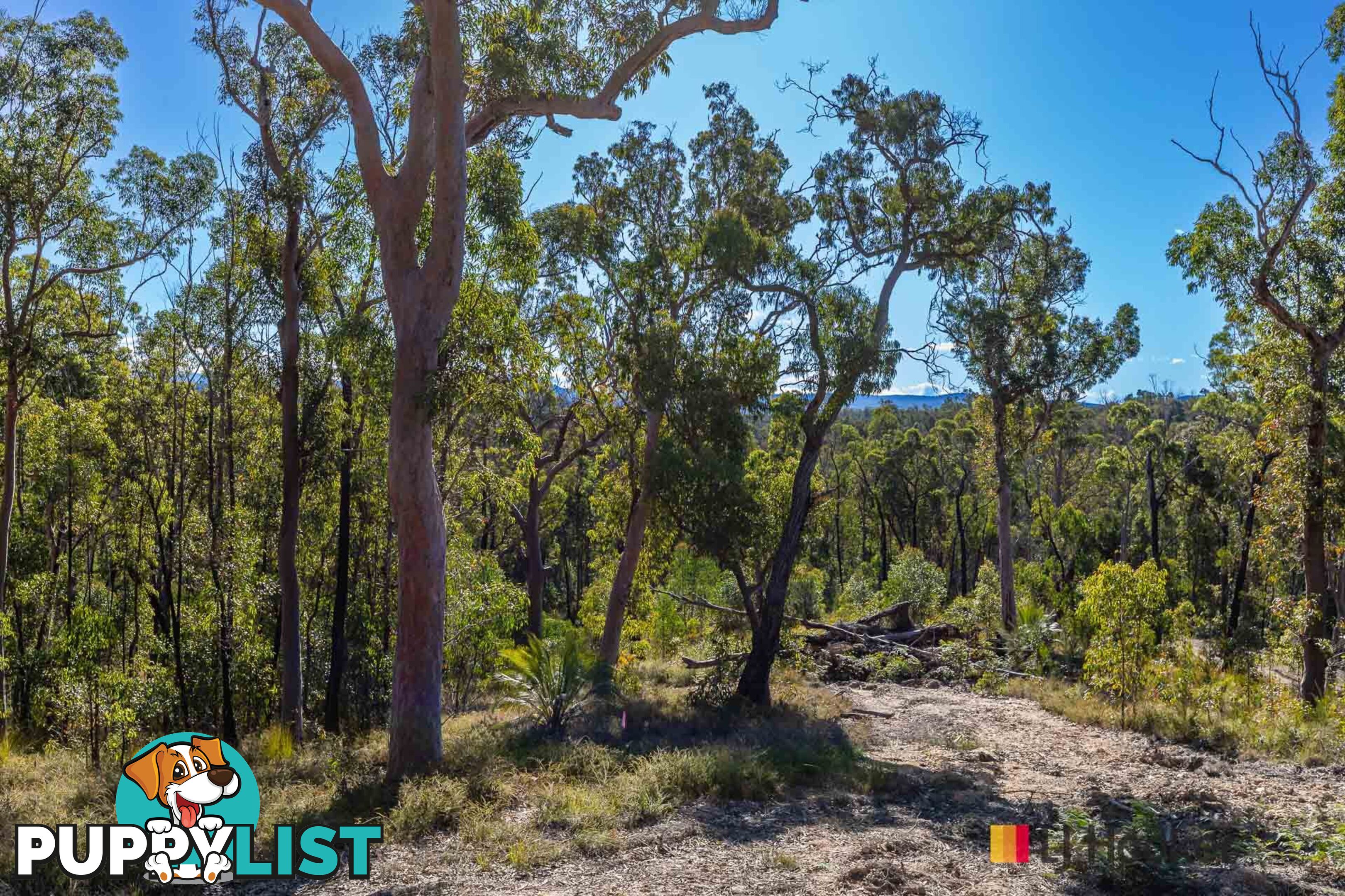 Lot 8/920 Dwyers Creek Road WAMBAN NSW 2537