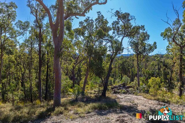 Lot 8/920 Dwyers Creek Road WAMBAN NSW 2537