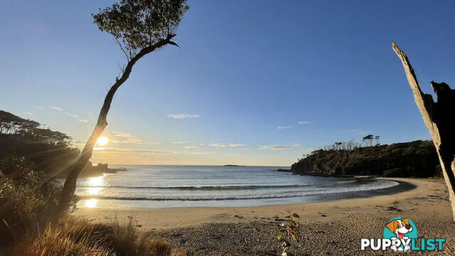 LILLI PILLI NSW 2536