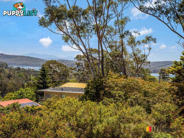 25 Riverview Crescent CATALINA NSW 2536