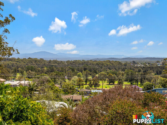 25 Riverview Crescent CATALINA NSW 2536