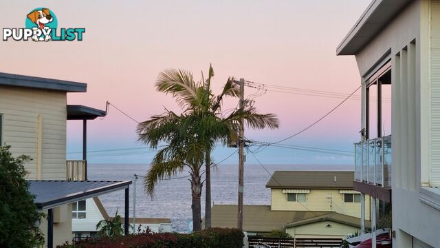 1/392 George Bass Drive MALUA BAY NSW 2536