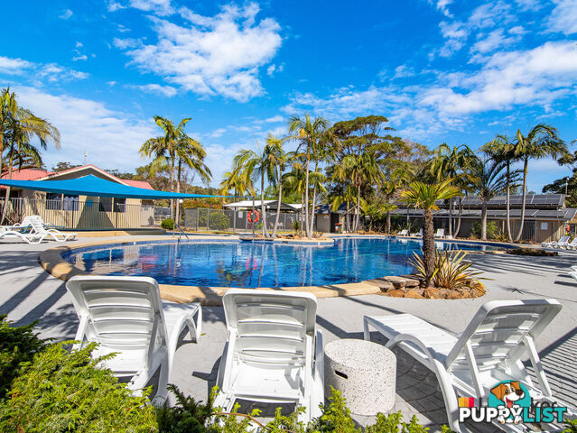 134/6 Lyttle Street BROULEE NSW 2537