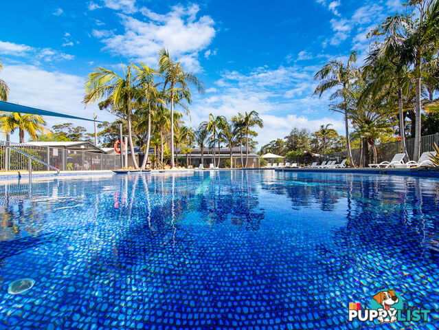 134/6 Lyttle Street BROULEE NSW 2537