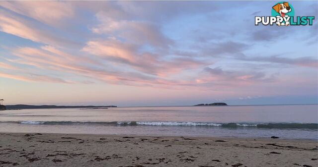 SURF BEACH NSW 2536