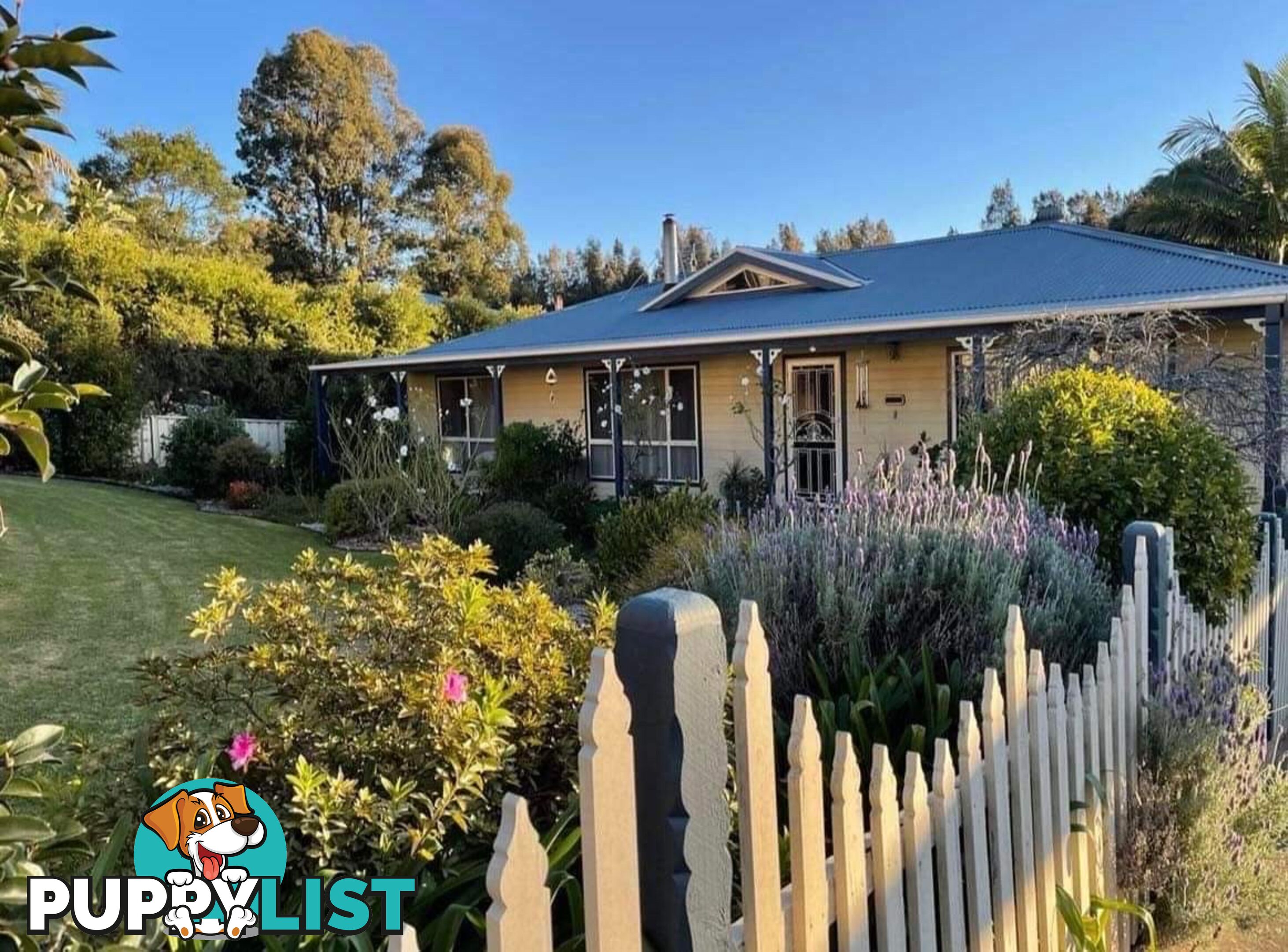 7 Palana Street SURFSIDE NSW 2536