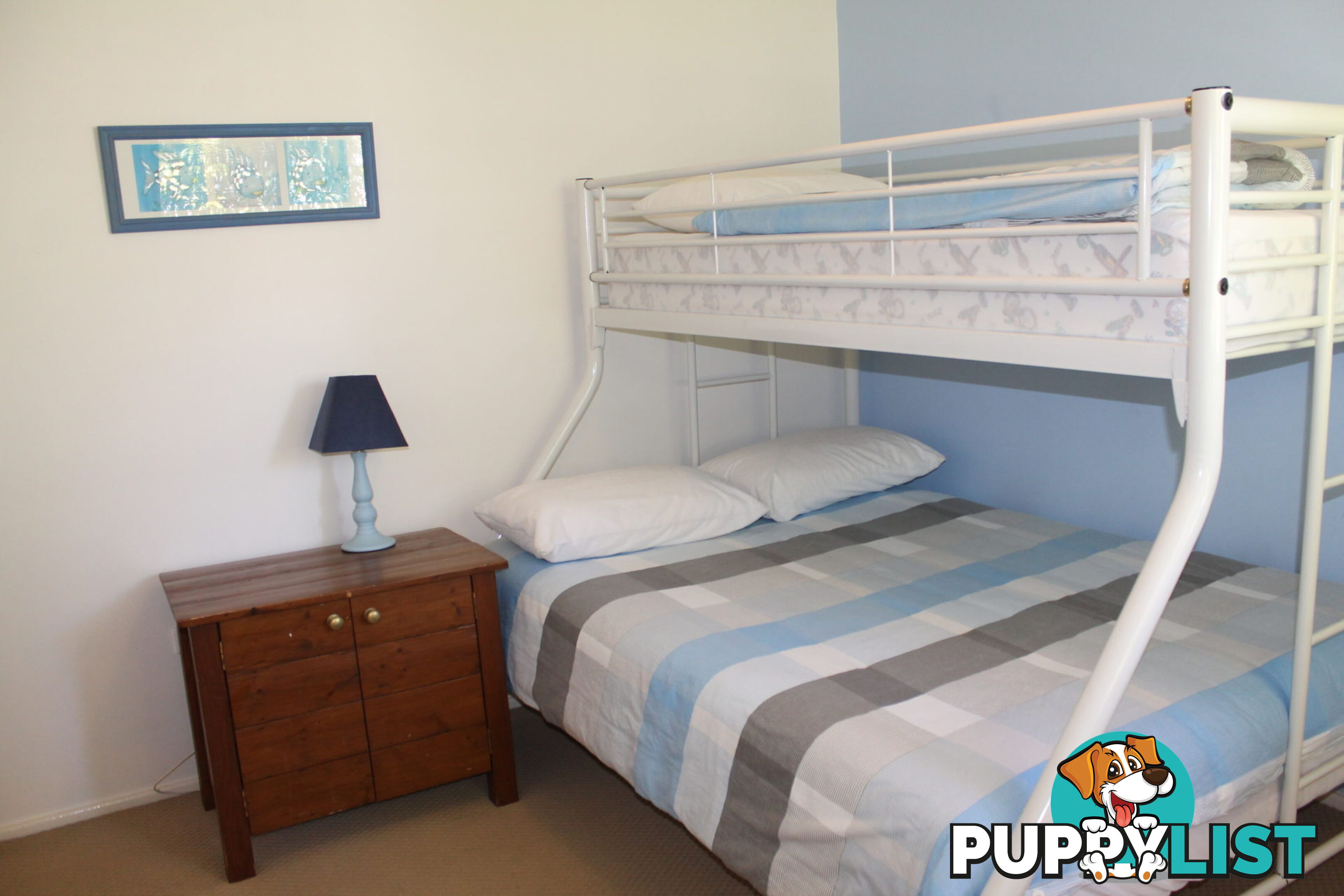 14 Garagarang Street MALUA BAY NSW 2536