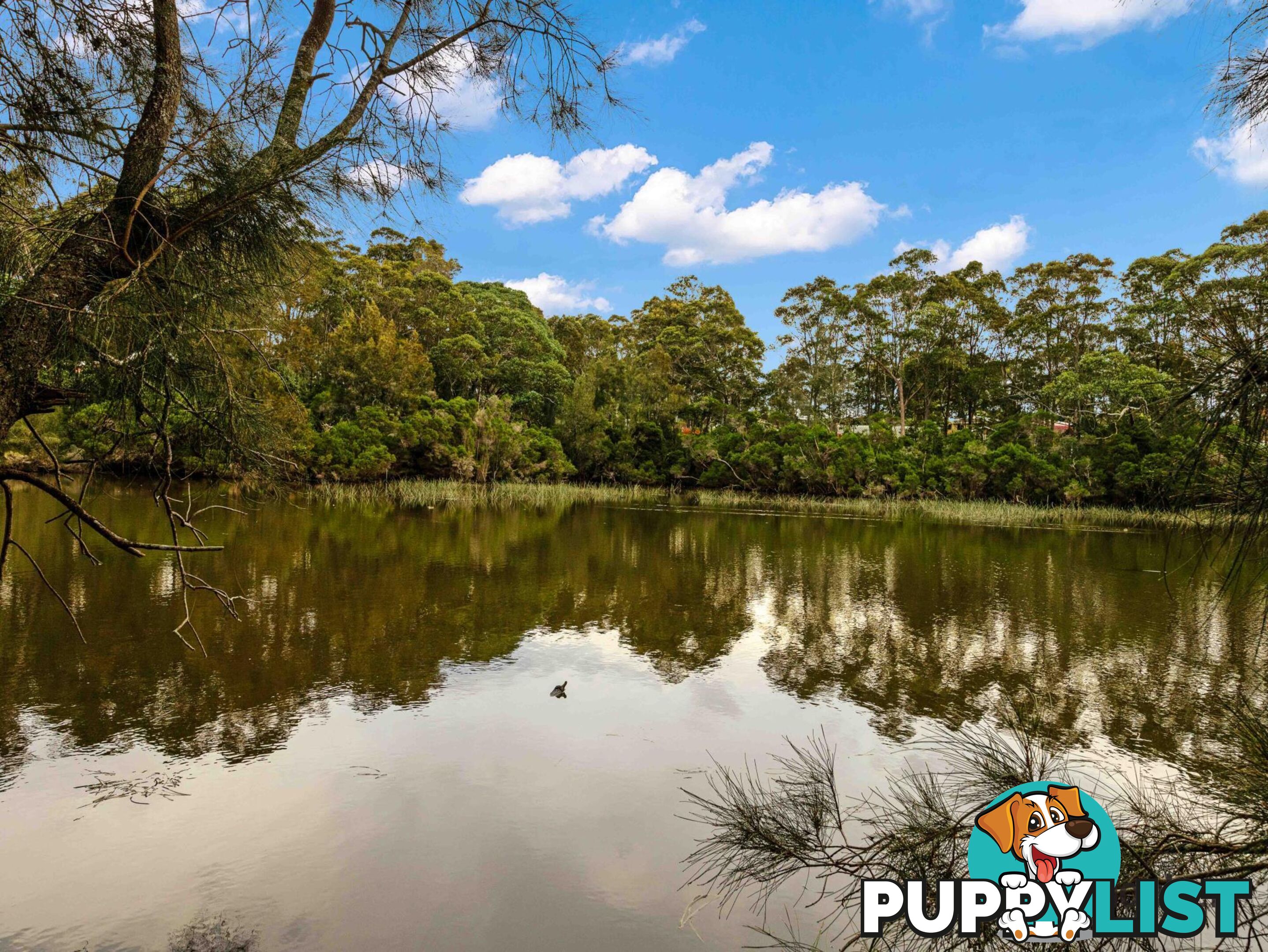 157/438 Beach Road SUNSHINE BAY NSW 2536