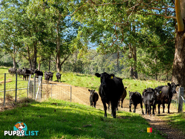 953 The River Road CURROWAN NSW 2536