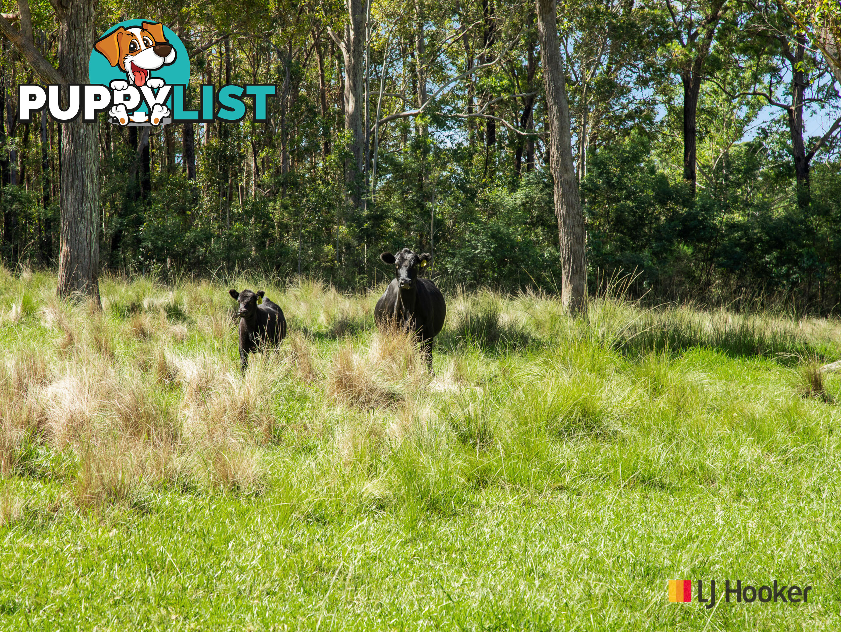 953 The River Road CURROWAN NSW 2536