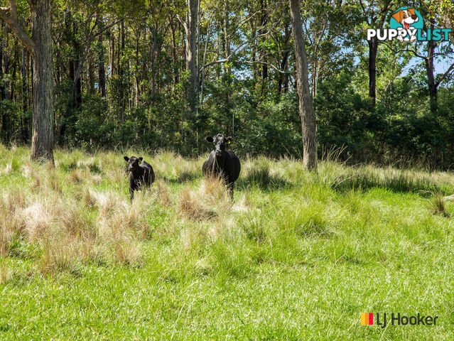 953 The River Road CURROWAN NSW 2536