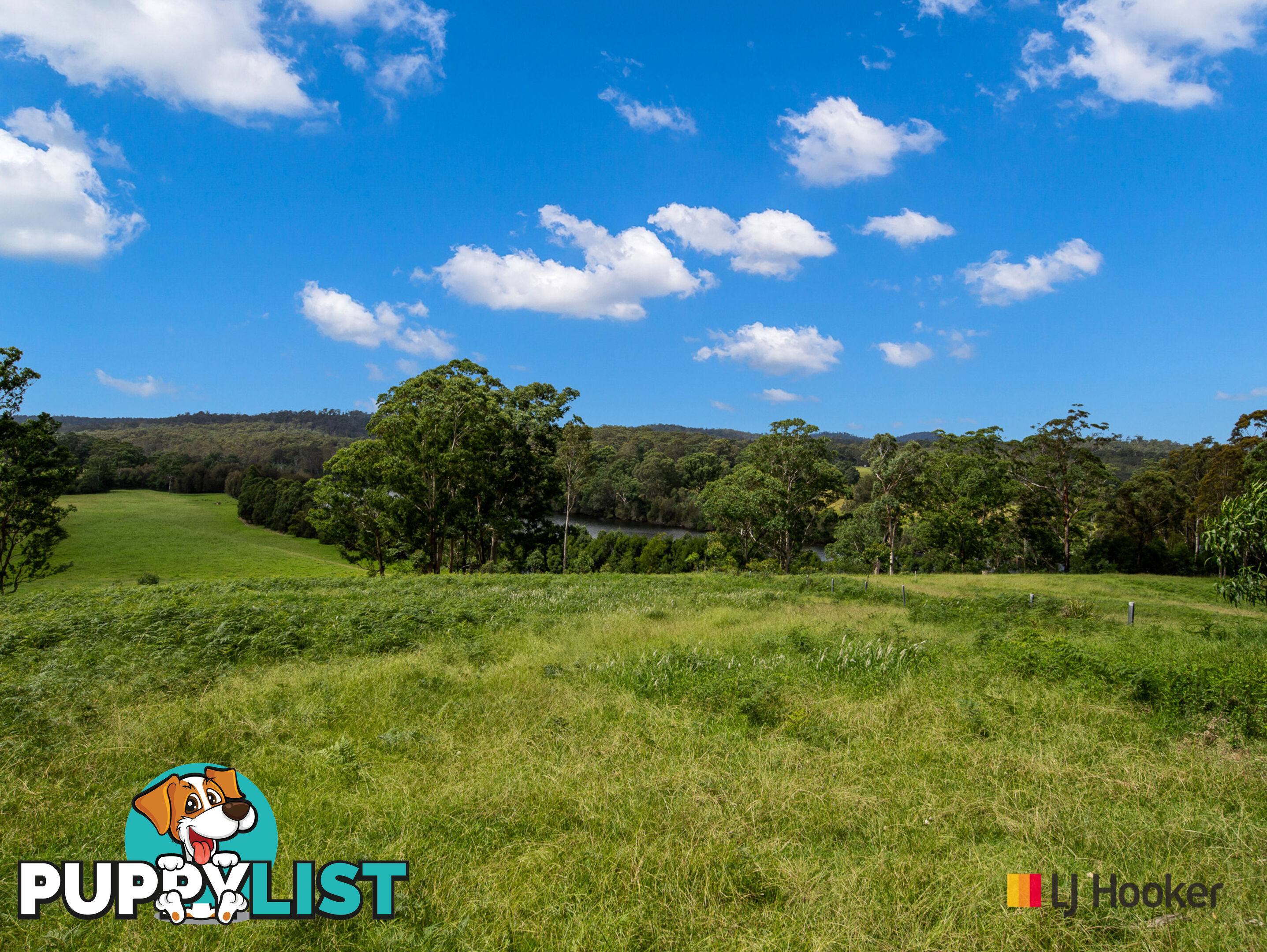 953 The River Road CURROWAN NSW 2536
