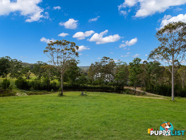 953 The River Road CURROWAN NSW 2536