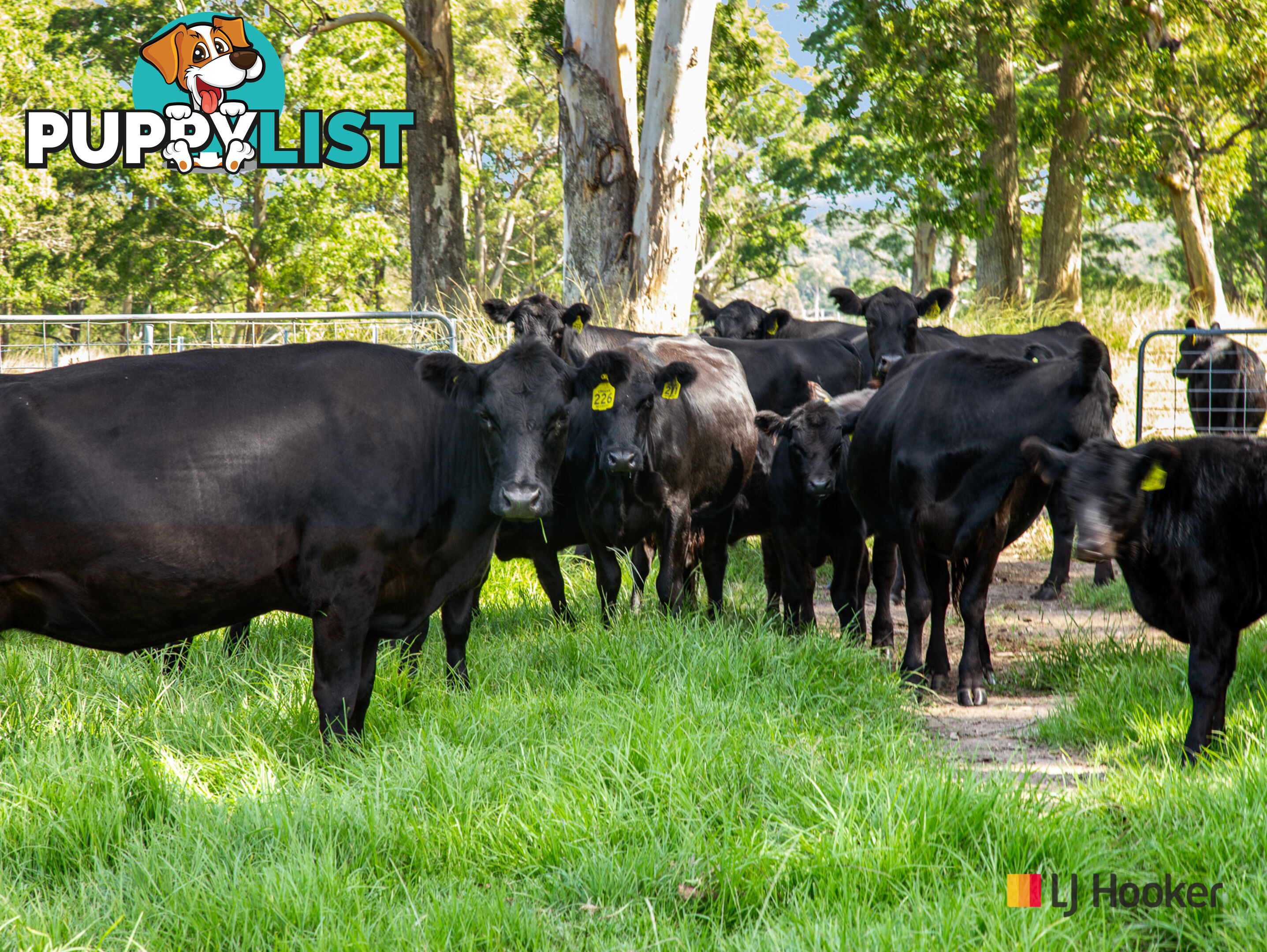 953 The River Road CURROWAN NSW 2536
