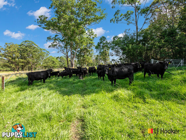 953 The River Road CURROWAN NSW 2536