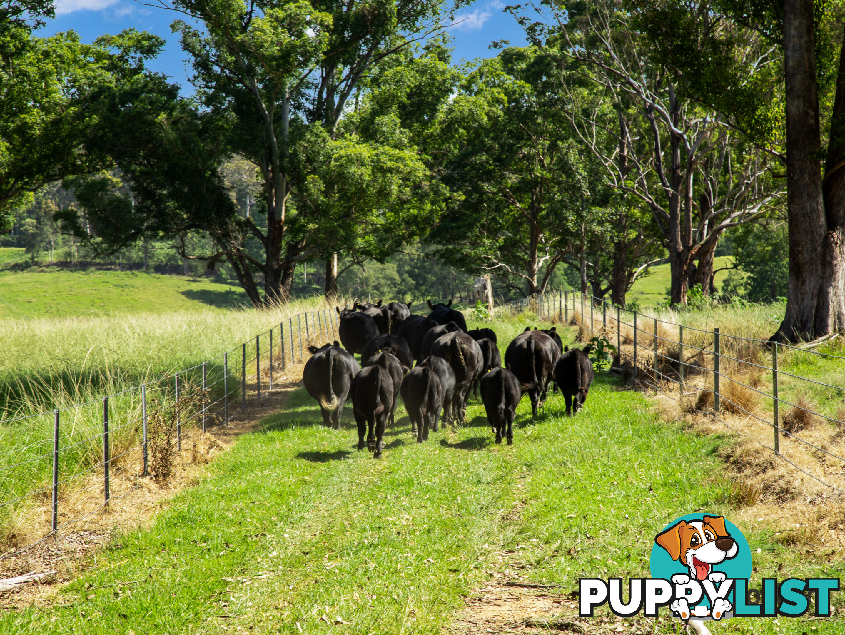 953 The River Road CURROWAN NSW 2536