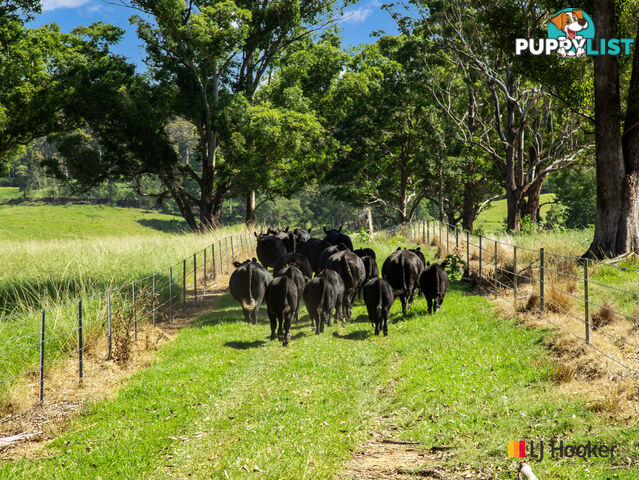 953 The River Road CURROWAN NSW 2536
