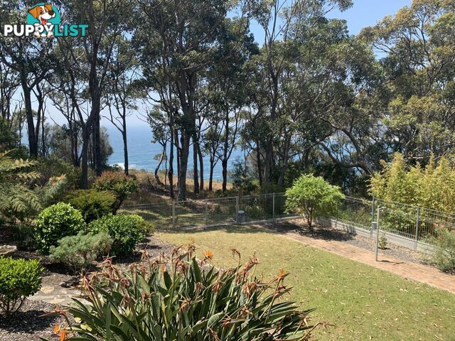 4 Illabunda Drive MALUA BAY NSW 2536