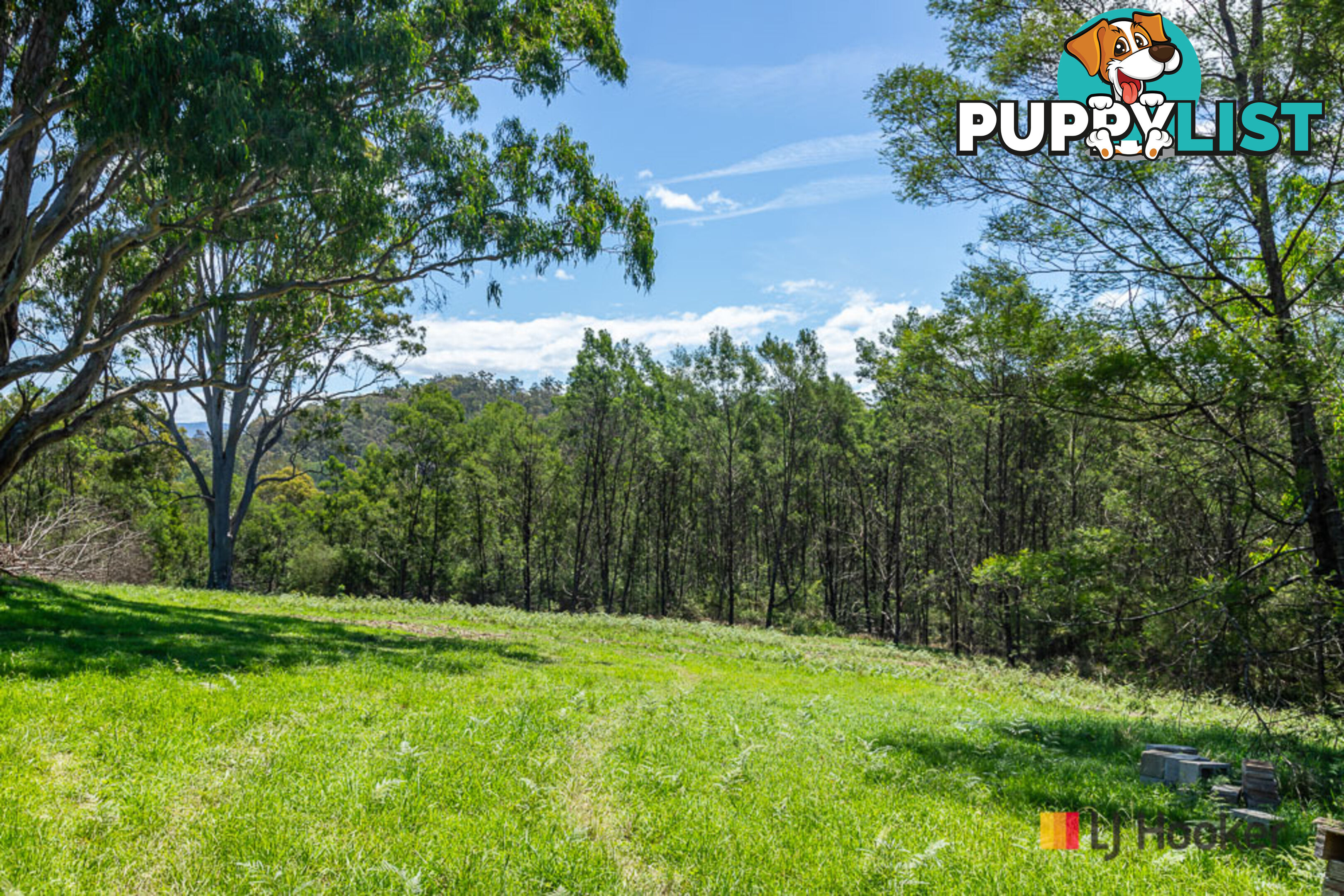 Lot 25 The River Road NELLIGEN NSW 2536