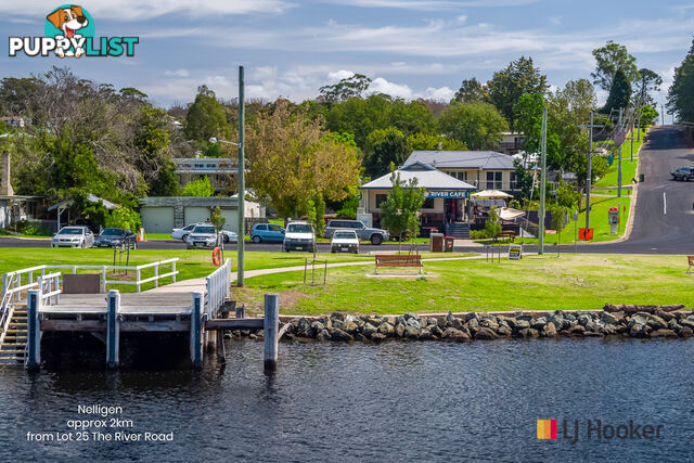 Lot 25 The River Road NELLIGEN NSW 2536