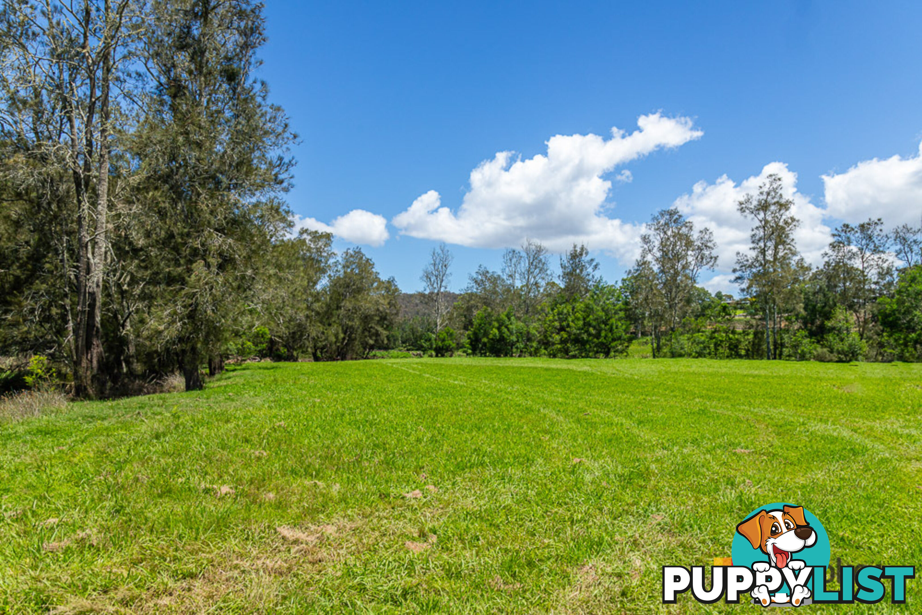 Lot 25 The River Road NELLIGEN NSW 2536