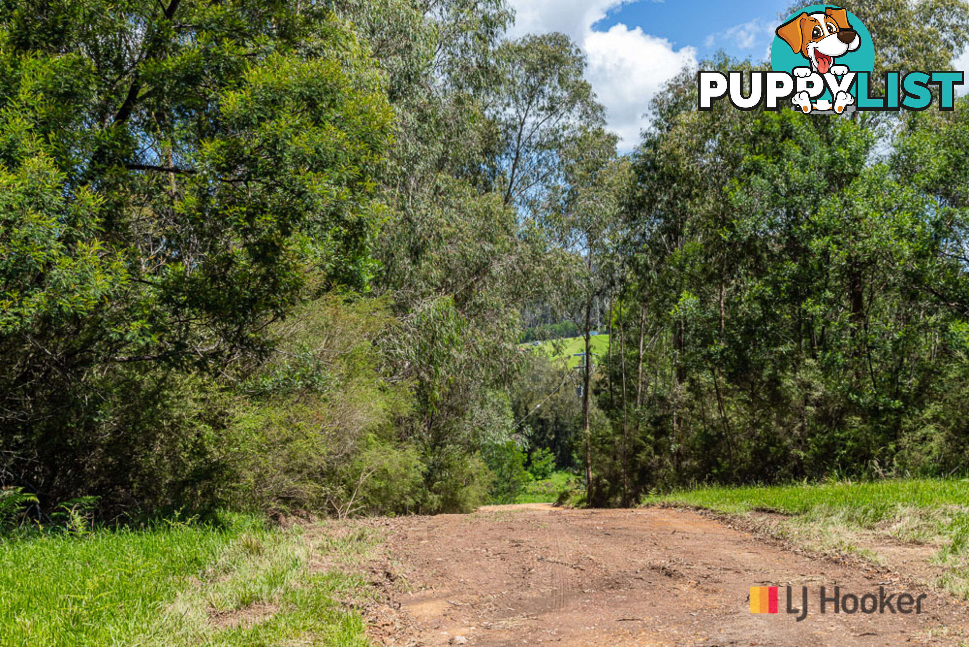 Lot 25 The River Road NELLIGEN NSW 2536