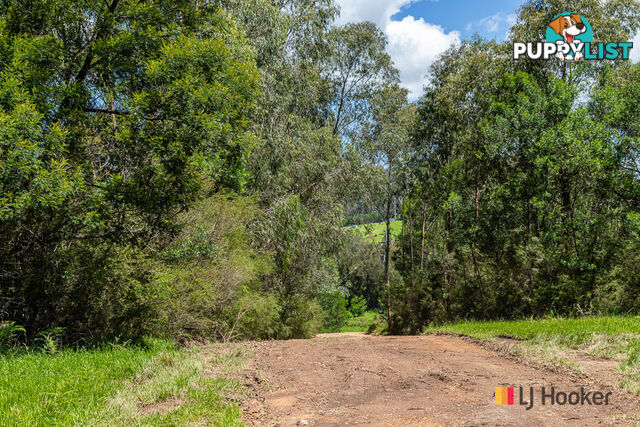 Lot 25 The River Road NELLIGEN NSW 2536