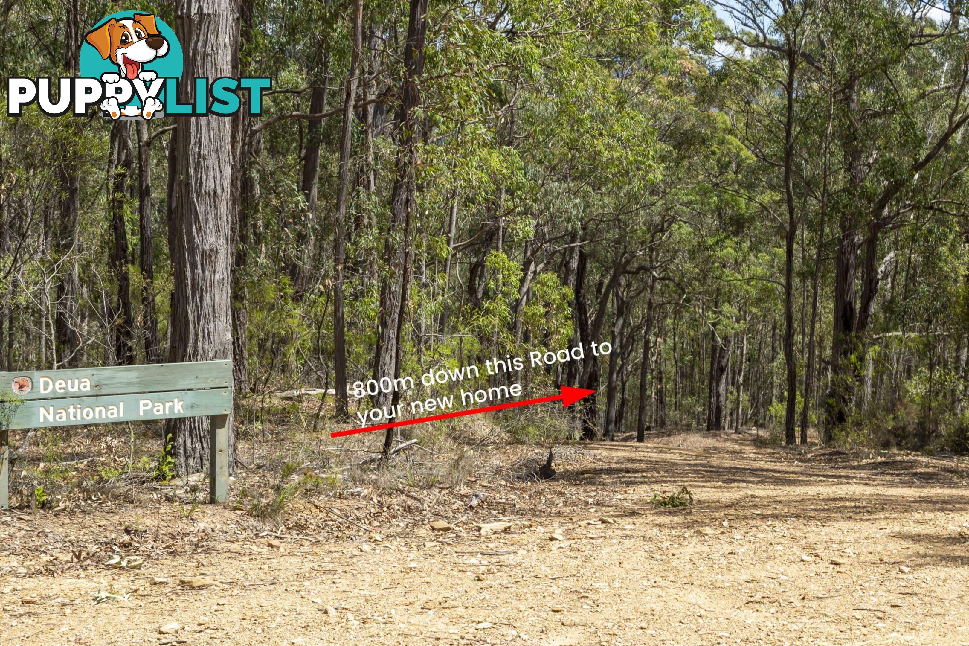 Lot 9 Wamban Road MORUYA NSW 2537