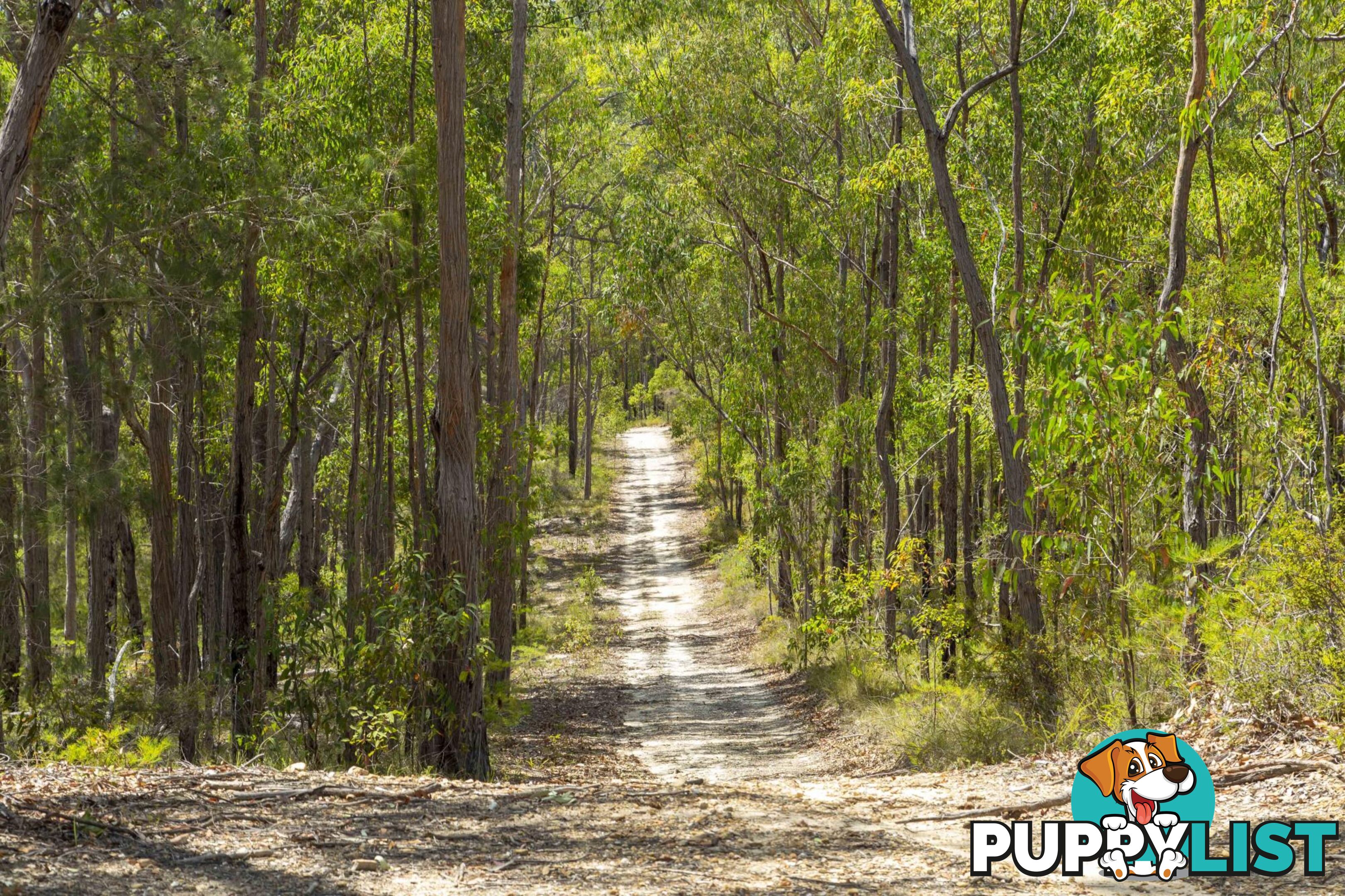 Lot 9 Wamban Road MORUYA NSW 2537