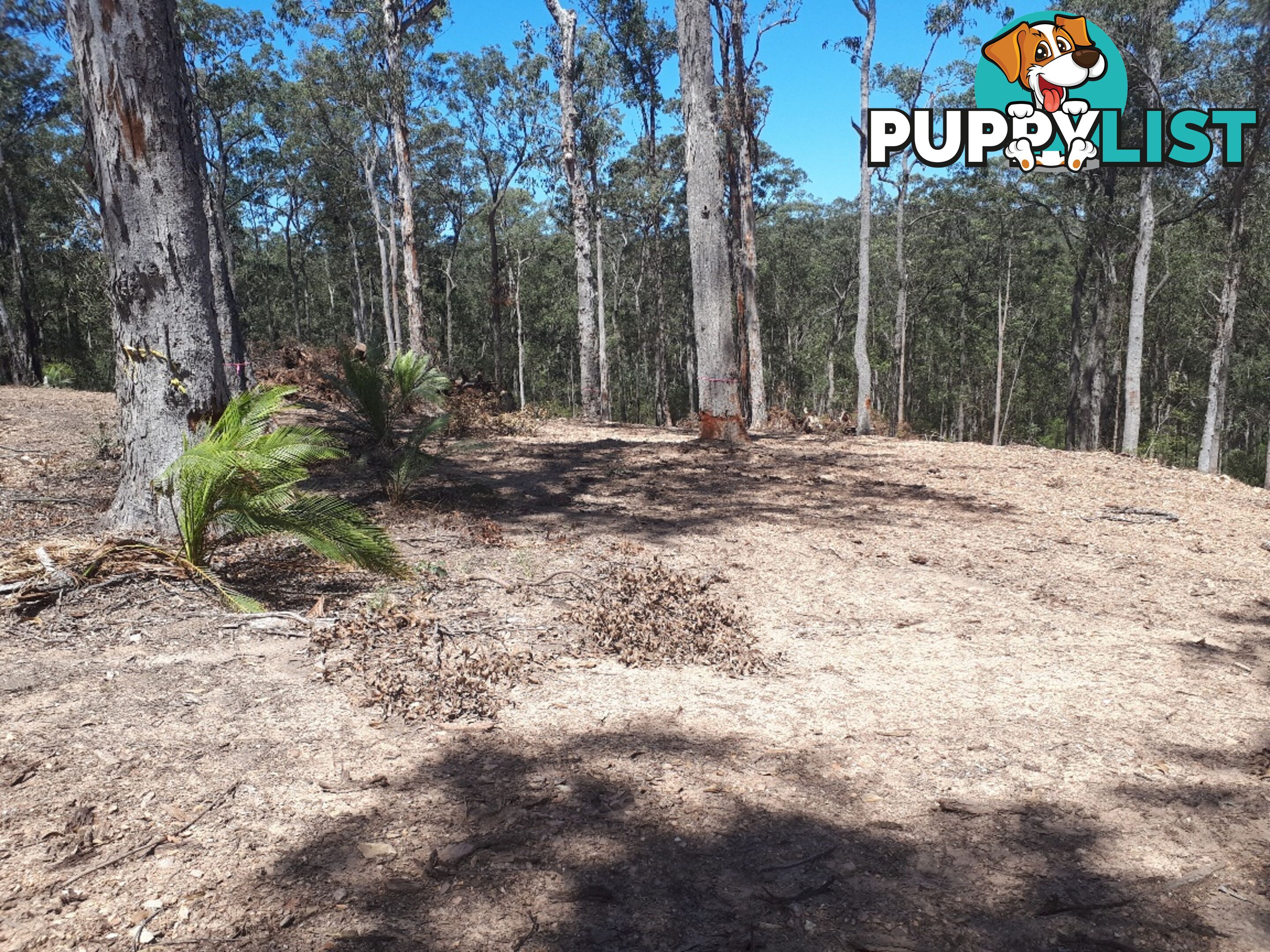 Lot 9 Wamban Road MORUYA NSW 2537