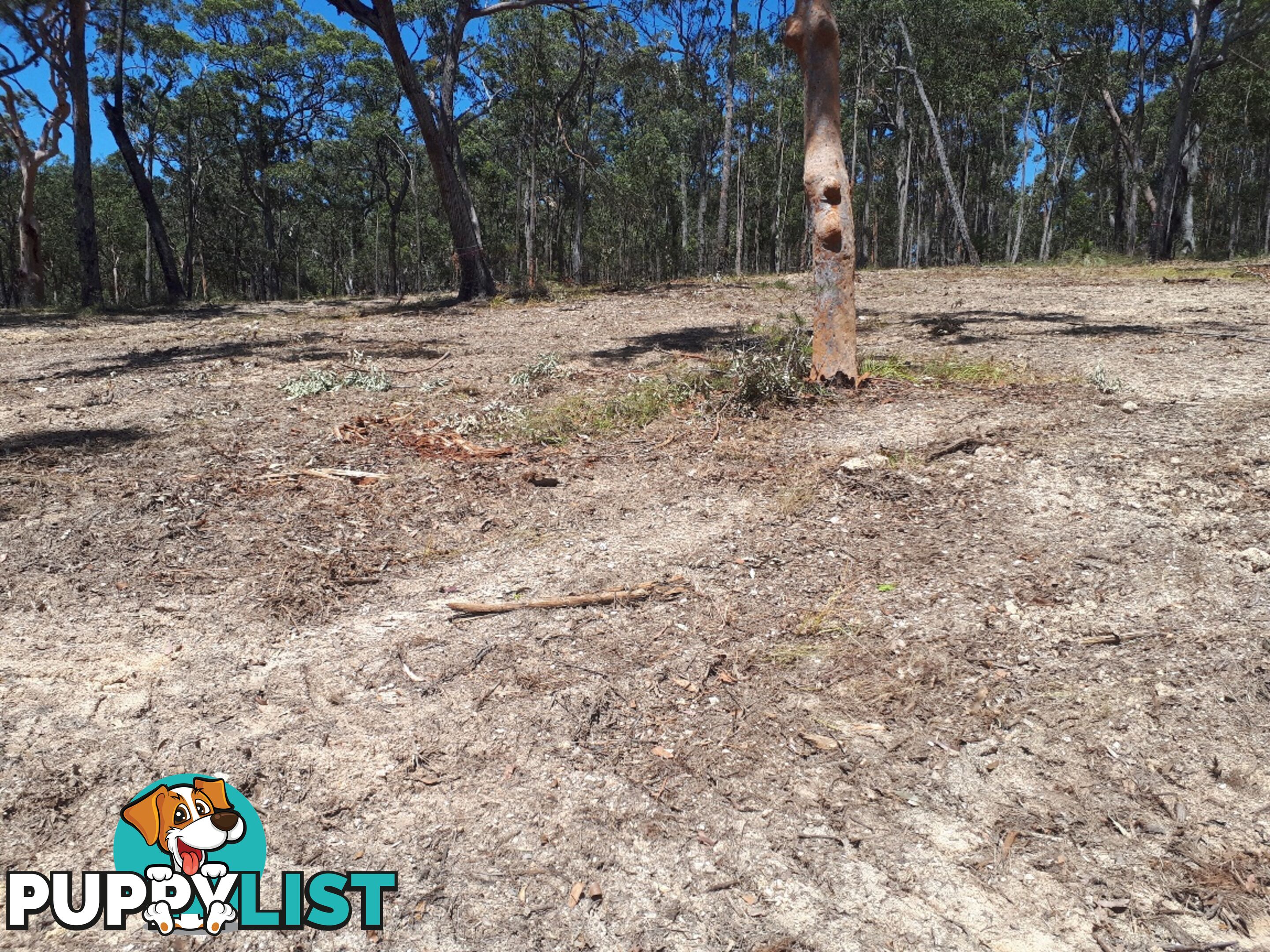 Lot 9 Wamban Road MORUYA NSW 2537