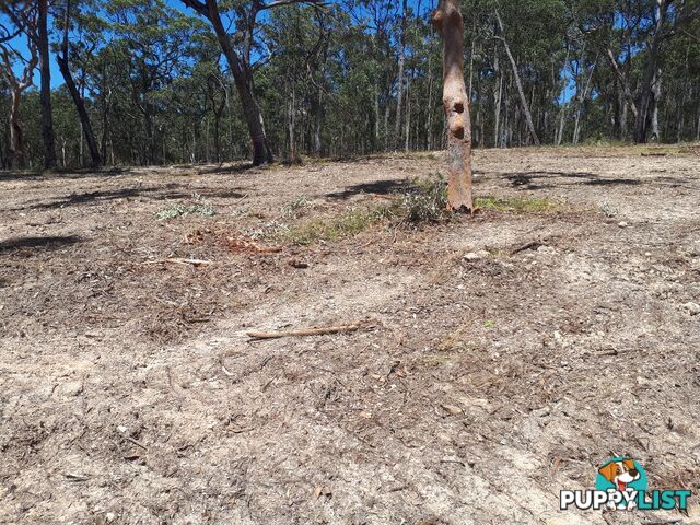 Lot 9 Wamban Road MORUYA NSW 2537