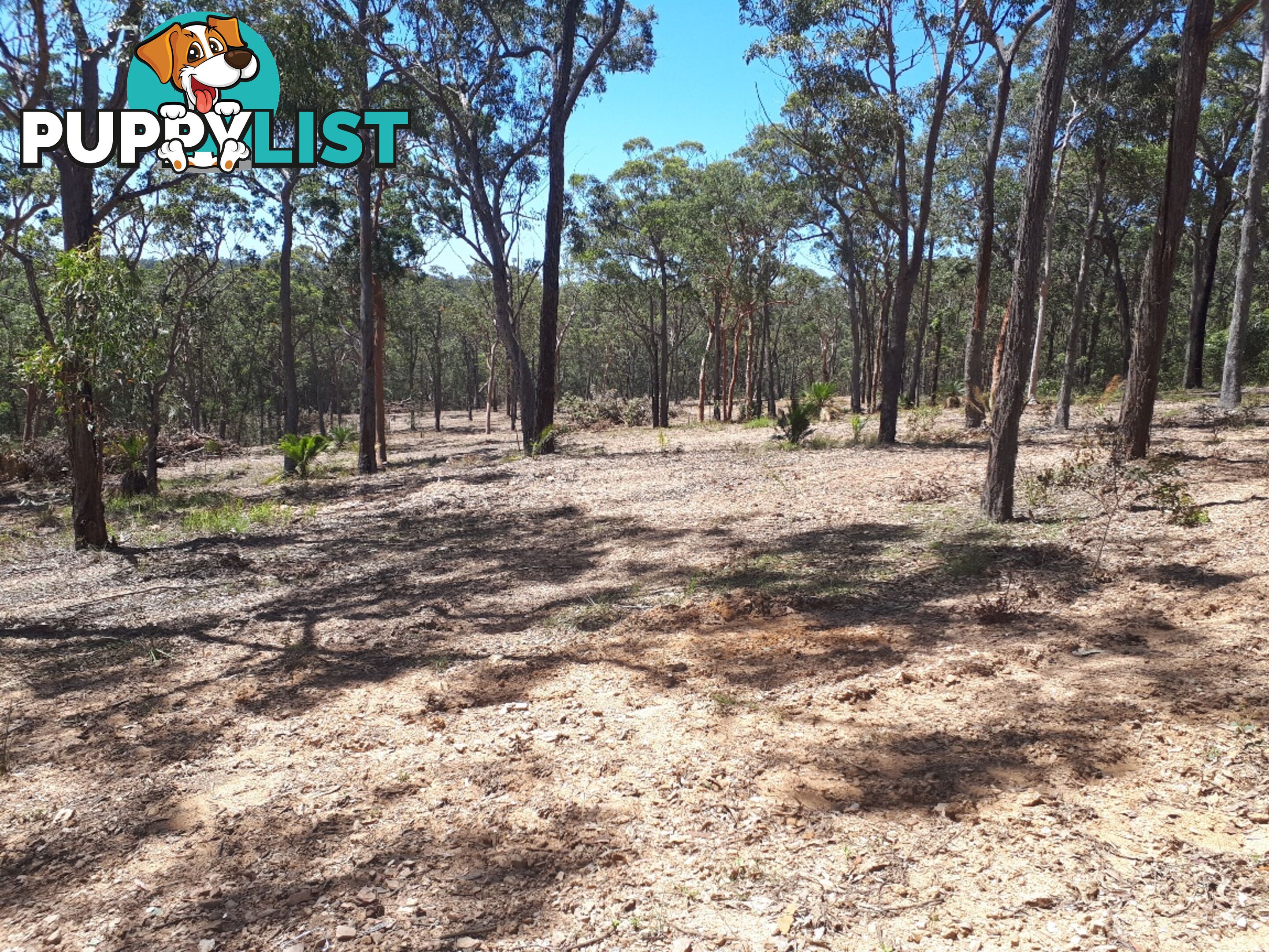 Lot 9 Wamban Road MORUYA NSW 2537