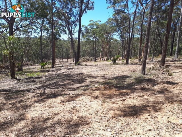 Lot 9 Wamban Road MORUYA NSW 2537