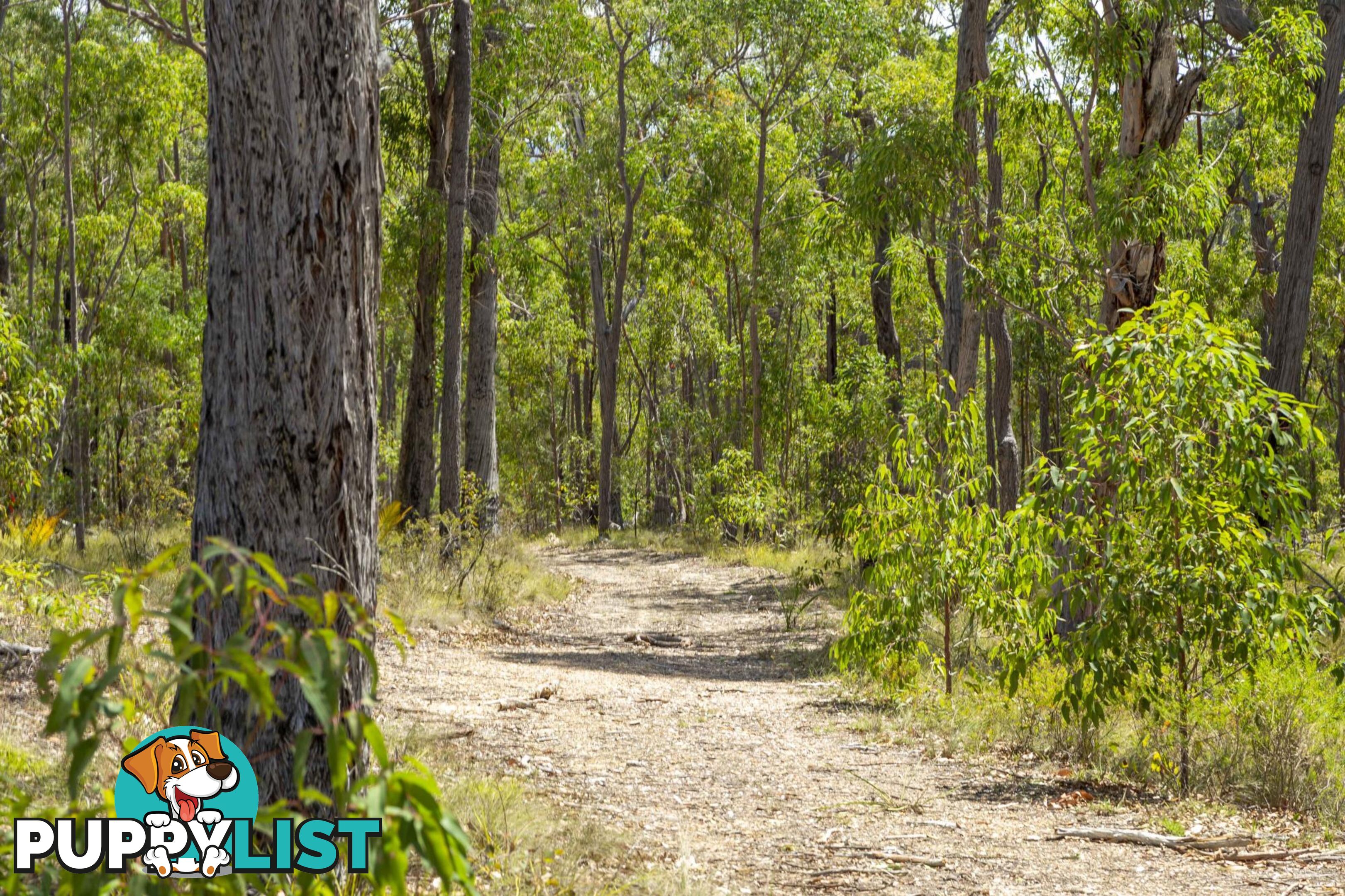 Lot 9 Wamban Road MORUYA NSW 2537