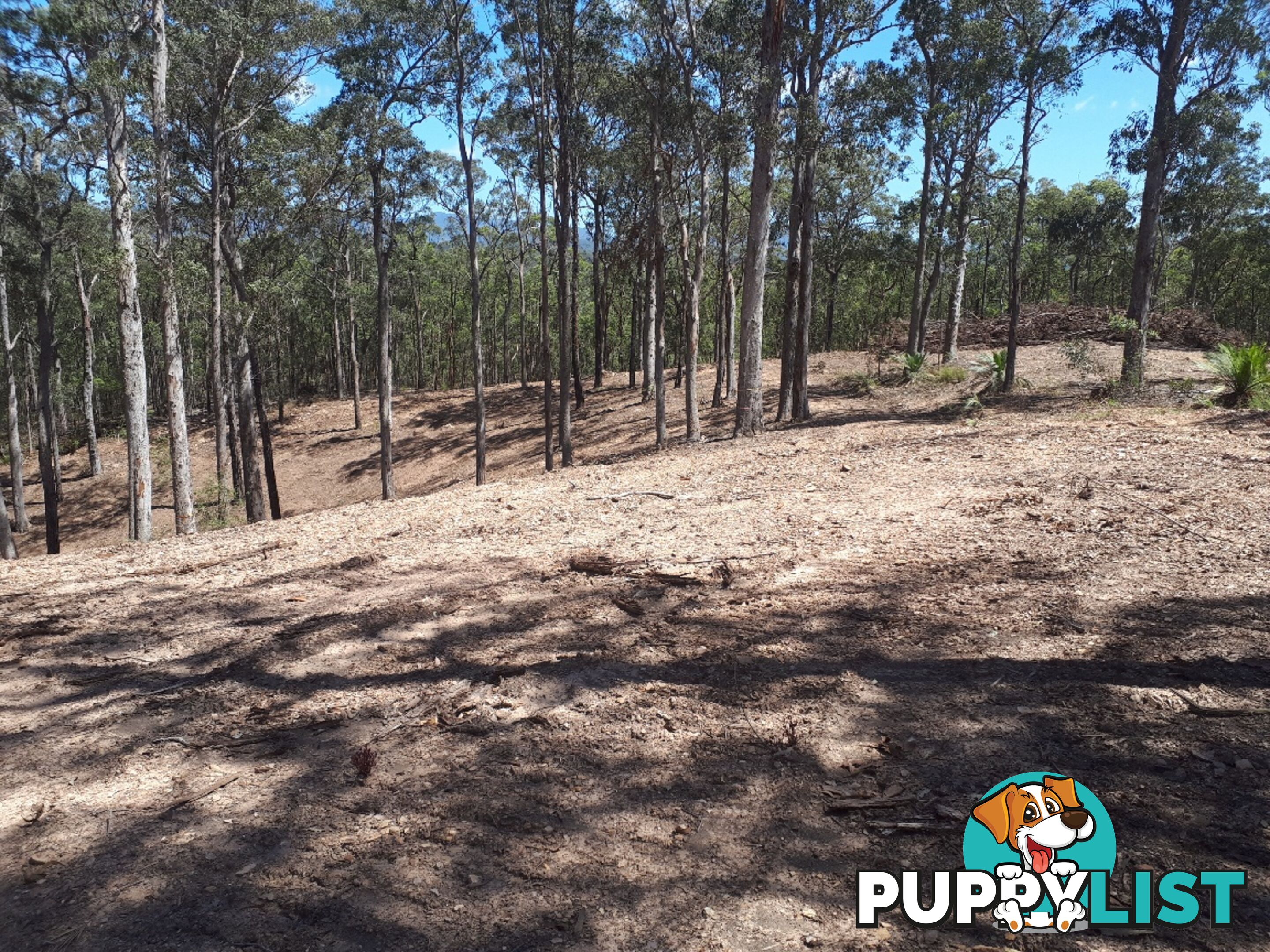 Lot 9 Wamban Road MORUYA NSW 2537