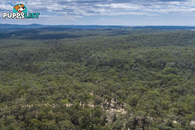 Lot 9 Wamban Road MORUYA NSW 2537