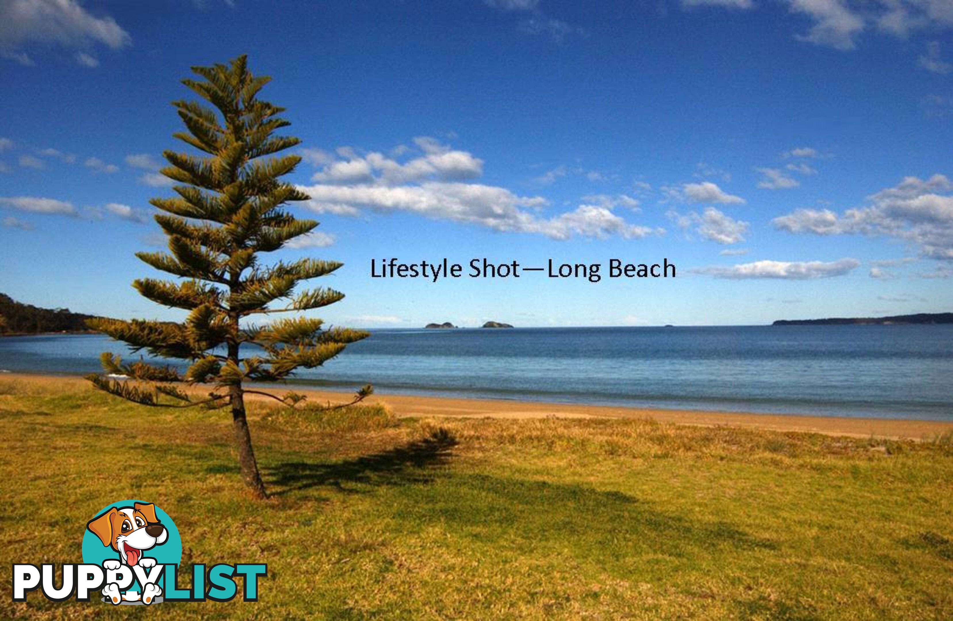 33 Mary Place LONG BEACH NSW 2536