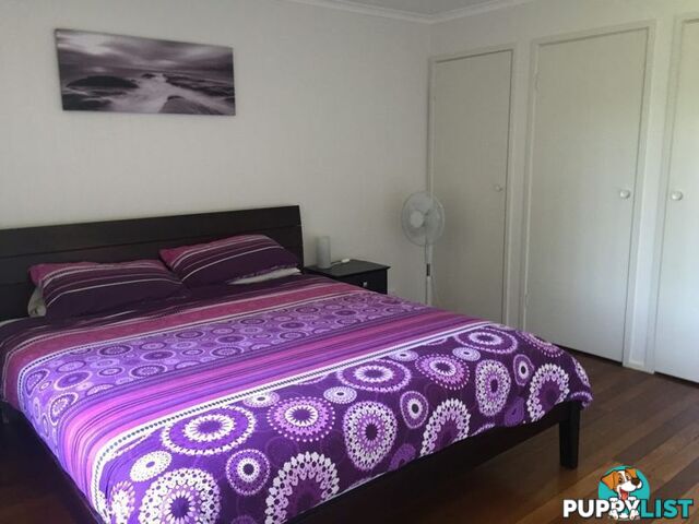 3 Johnson Drive SURF BEACH NSW 2536