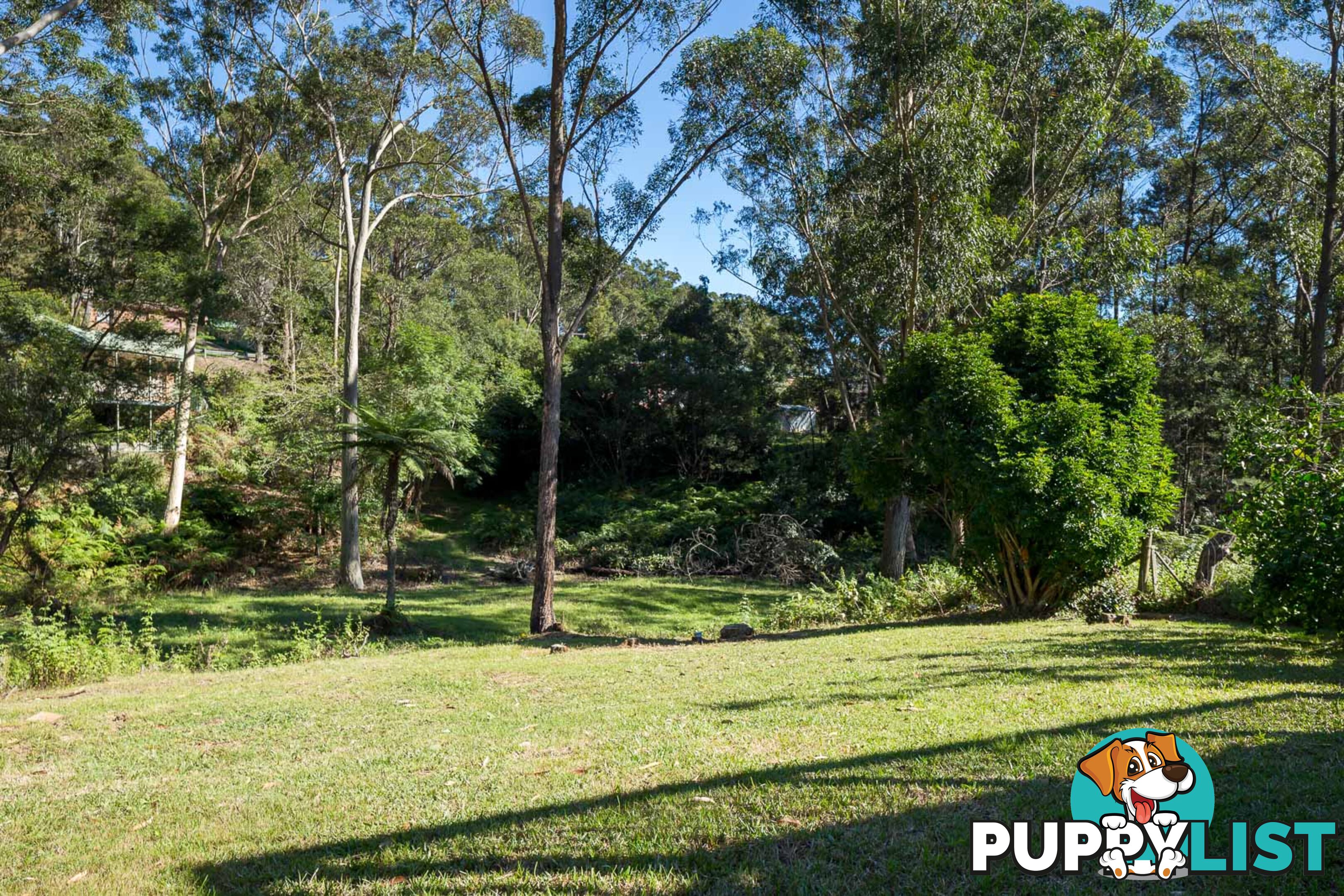 8 Sandpiper Place CATALINA NSW 2536