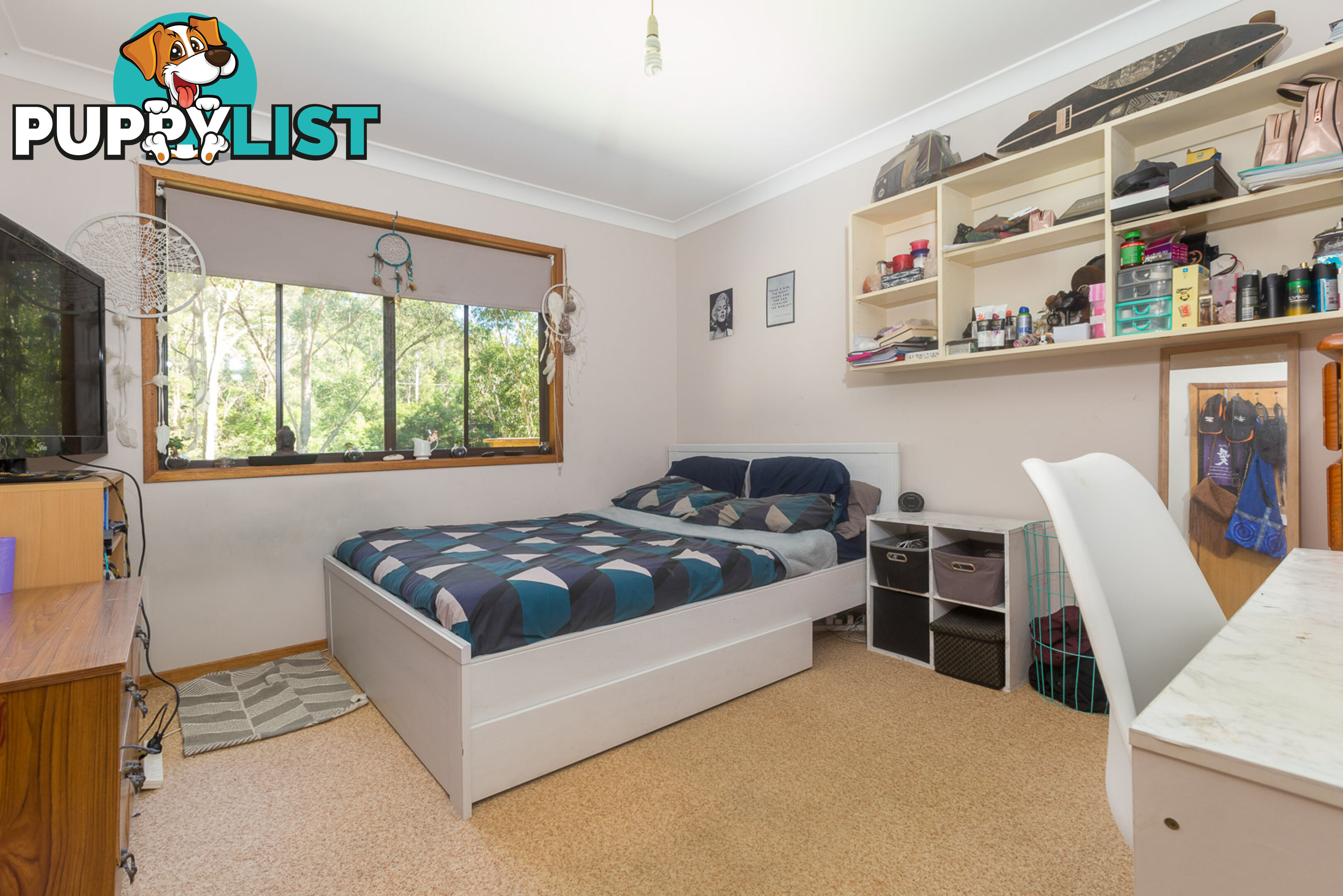 8 Sandpiper Place CATALINA NSW 2536