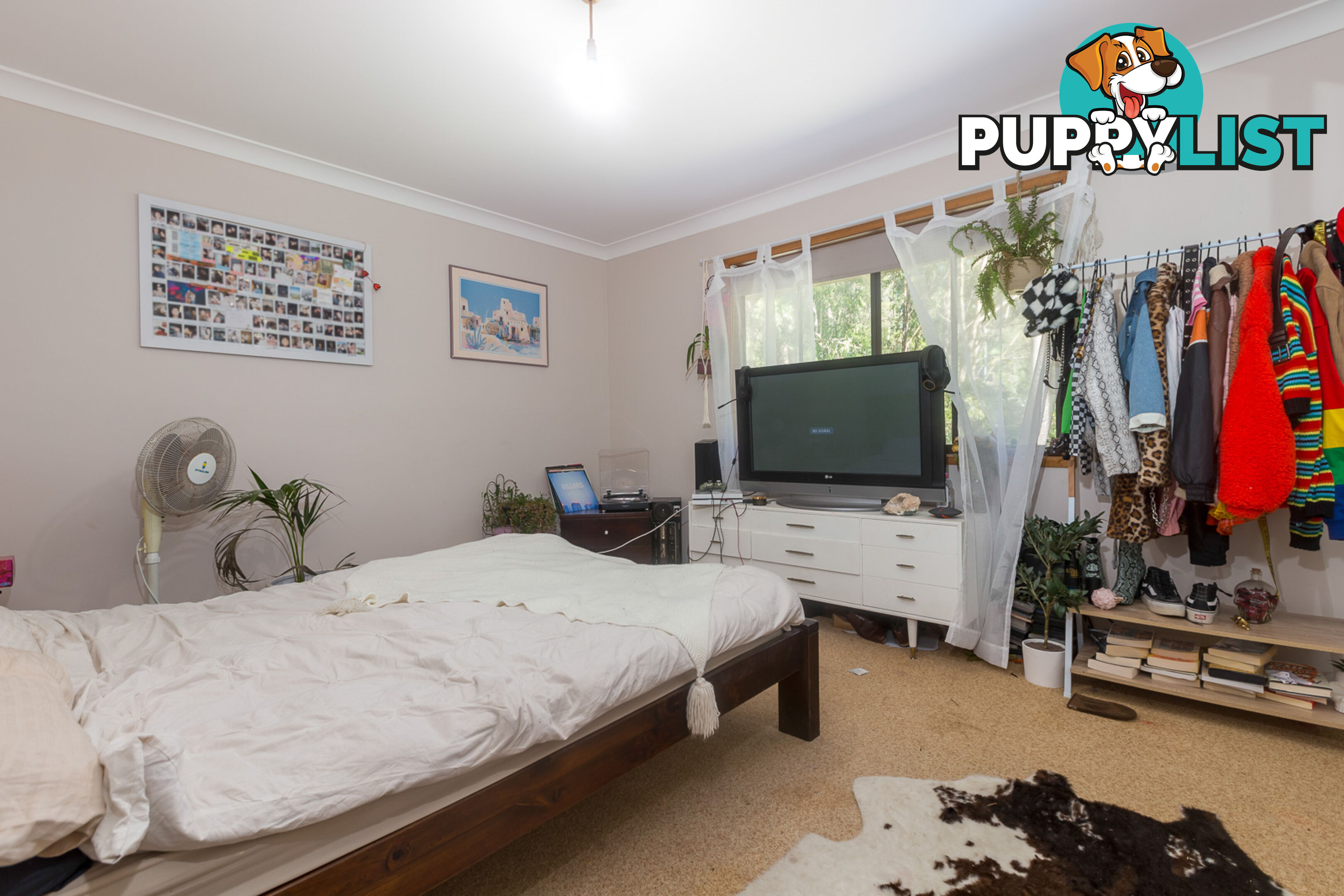 8 Sandpiper Place CATALINA NSW 2536