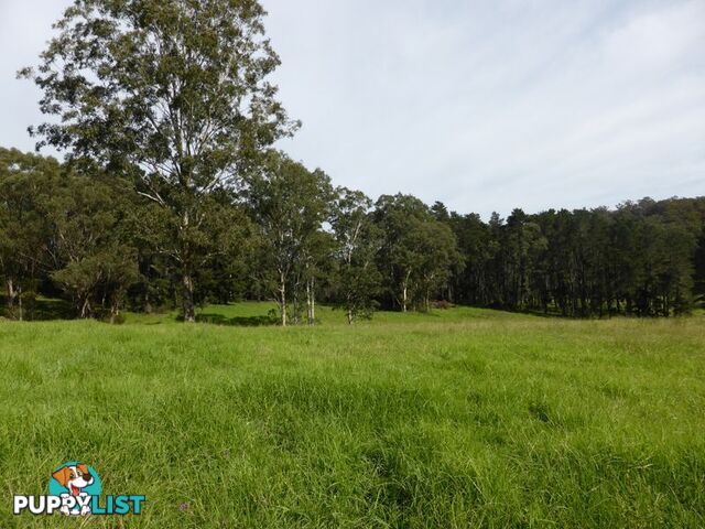 Lot 61 Timber Barge Lane NELLIGEN NSW 2536