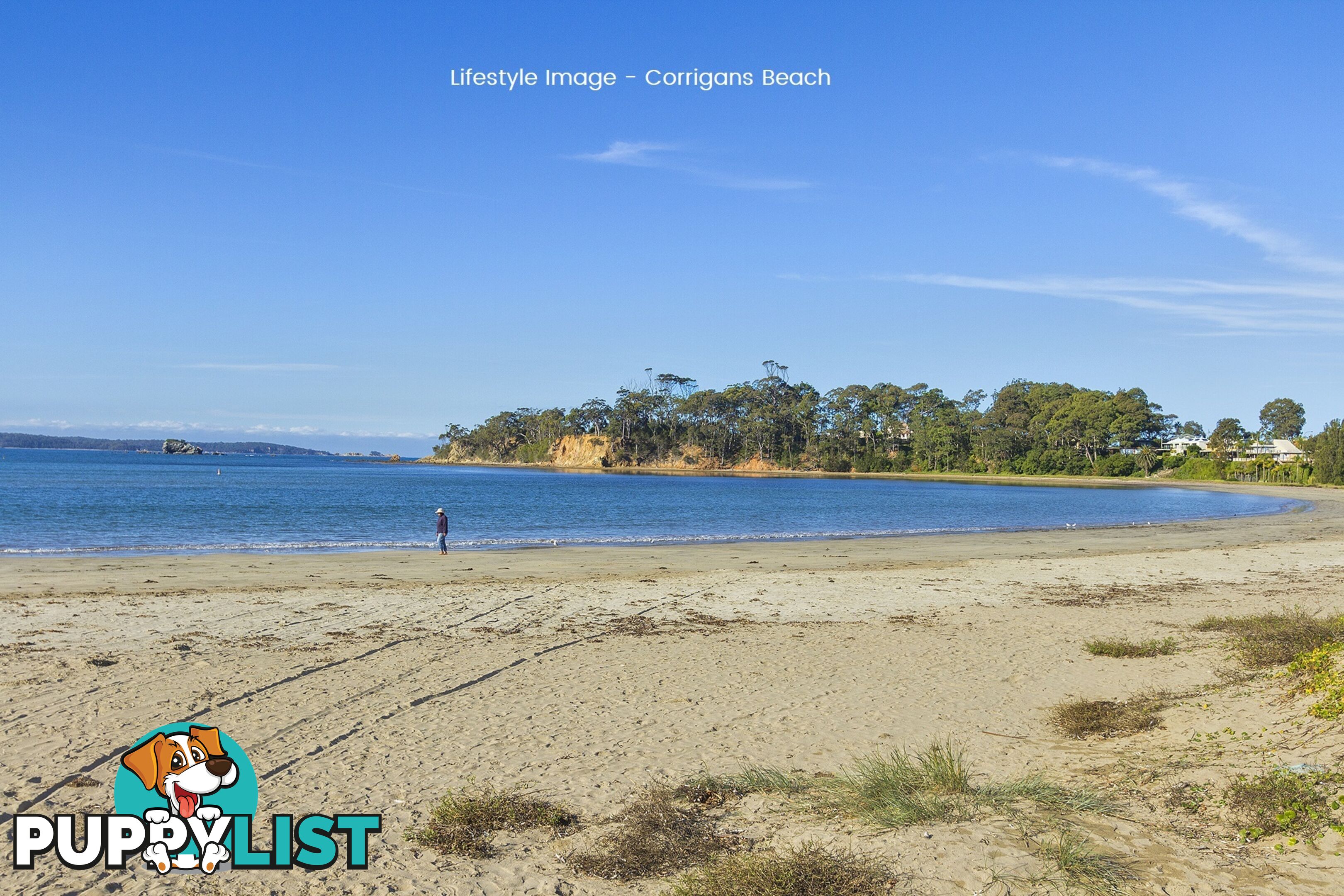 73 Heron Road CATALINA NSW 2536