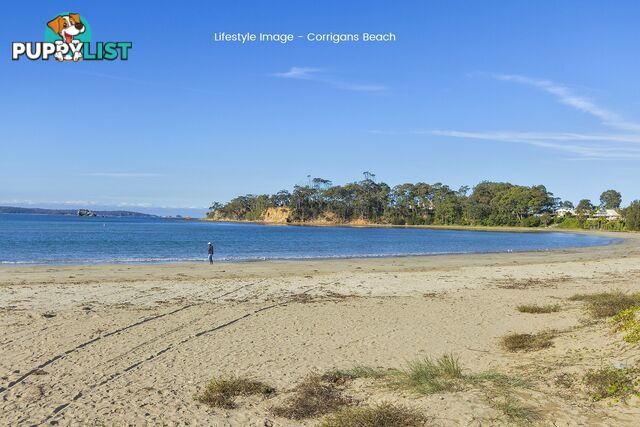 73 Heron Road CATALINA NSW 2536