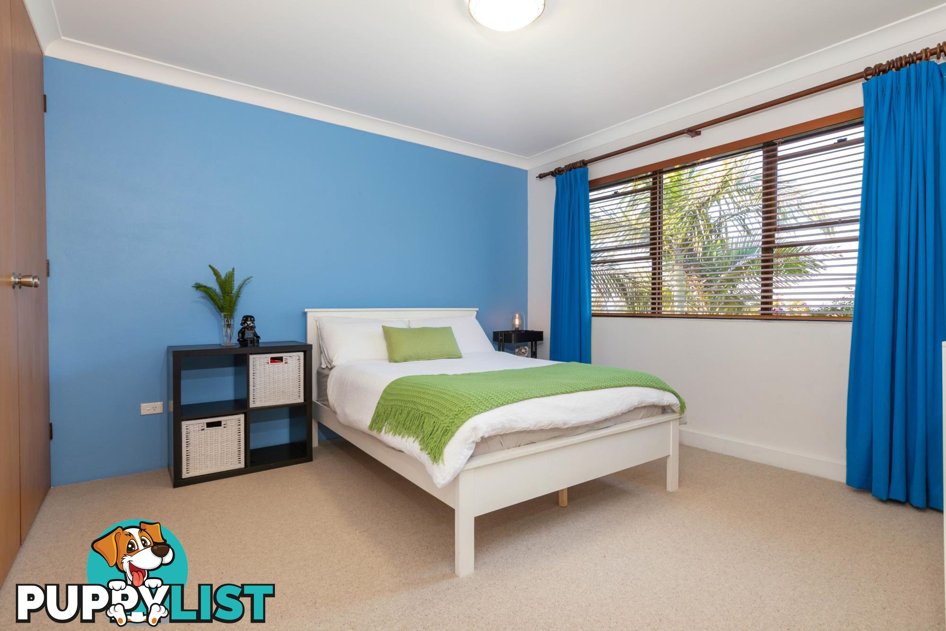 54 Ridge Street CATALINA NSW 2536