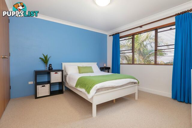 54 Ridge Street CATALINA NSW 2536