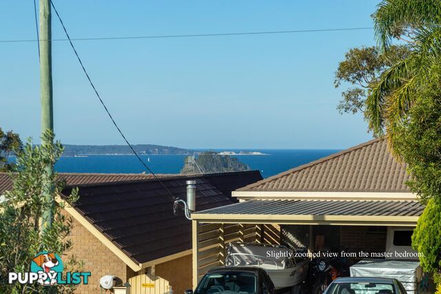 54 Ridge Street CATALINA NSW 2536